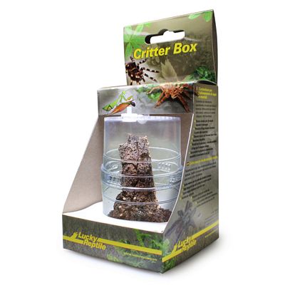 Lucky Reptile Critter Box gross, ca. 11x19cm