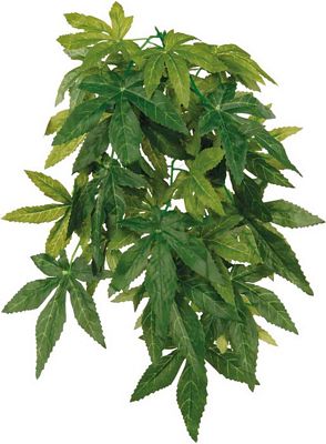 Trixie Seiden-Hängepflanze, Abutilon, ø 20 × 30 cm