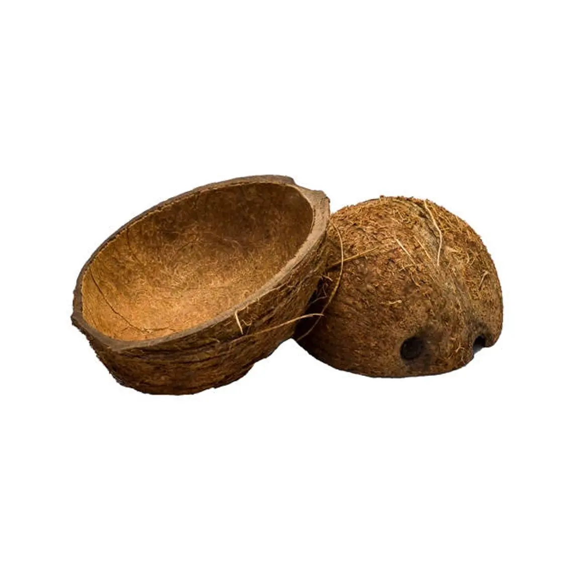 Halbierte Kokosnuss mit Öffnung