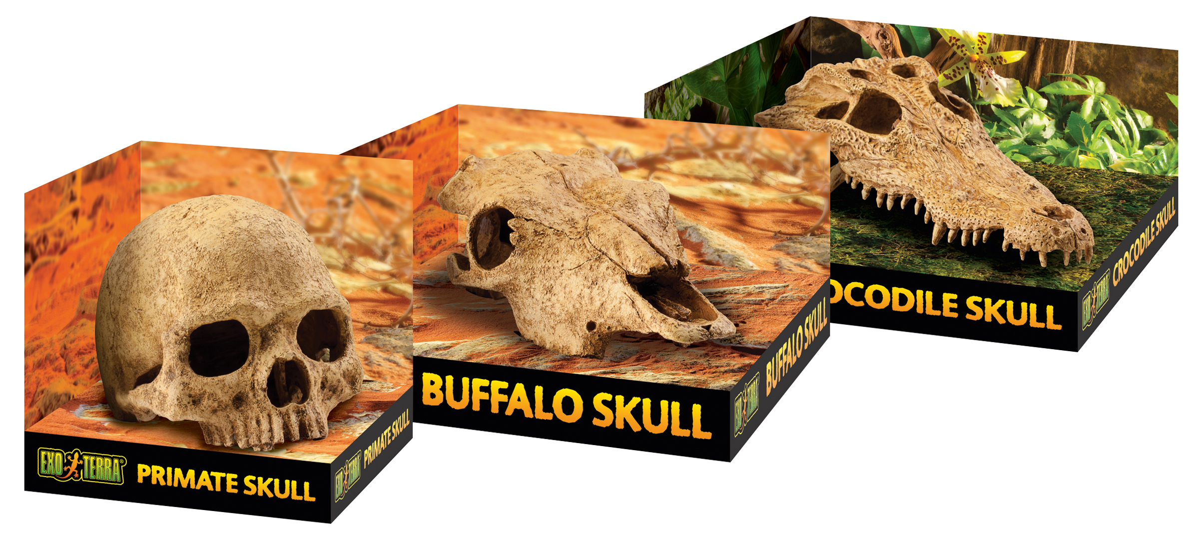 ExoTerra Buffalo Skull