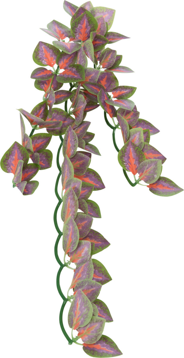 Trixie Seiden-Hängepflanze Folium Perillae
